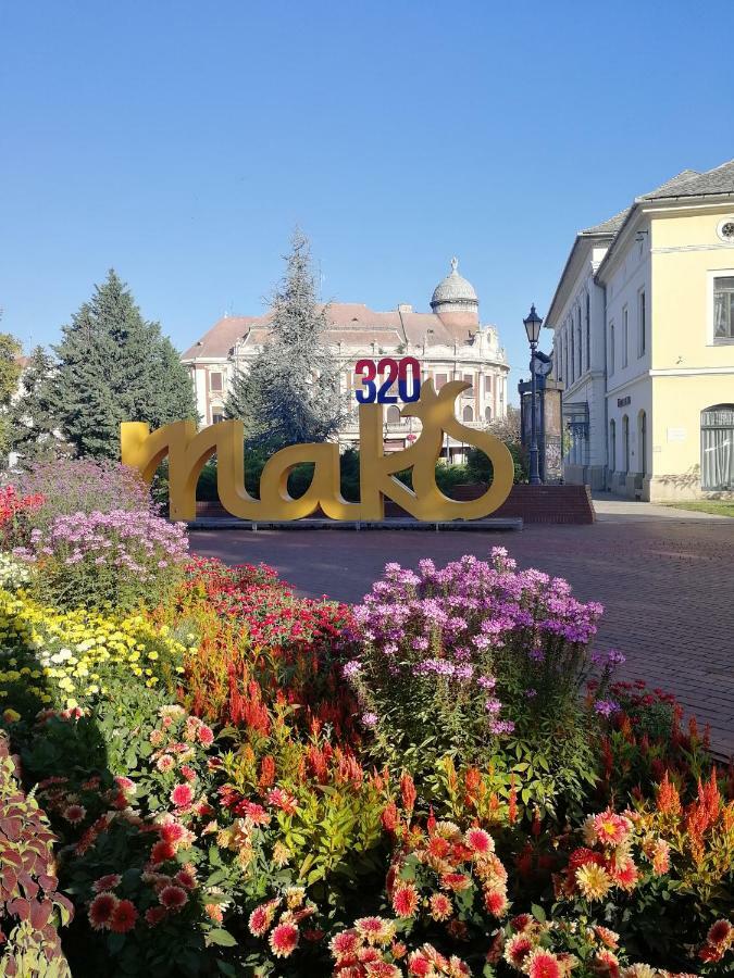 Csipke Apartman Makó Екстериор снимка